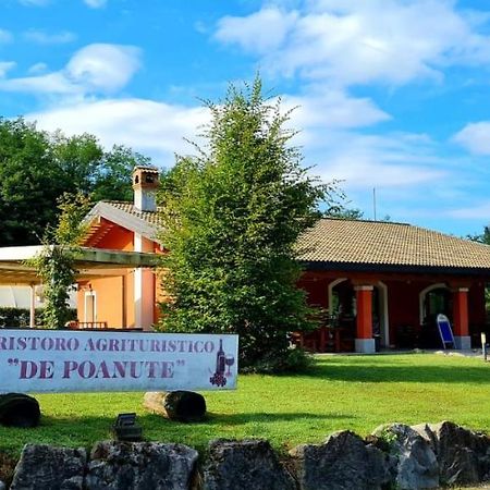Alloggio E Agriturismo De Poanute Faedis Екстериор снимка