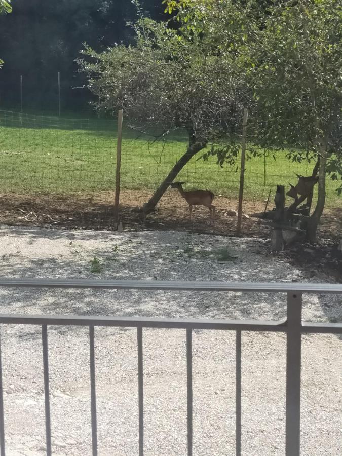 Alloggio E Agriturismo De Poanute Faedis Екстериор снимка
